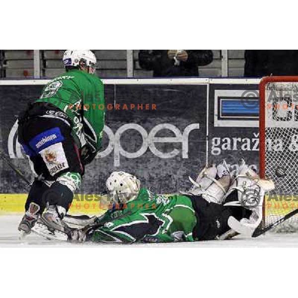 Henry, Matija Pintaric in action during ice-hockey match Tilia Olimpija- Sapa Fehervar in round 40 of Ebel league, played in Hala Tivoli, Ljubljana, Slovenia 5.01.2010 
