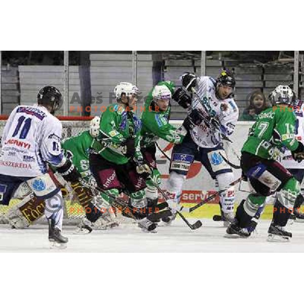 Mitchell, Pratt in action during ice-hockey match Tilia Olimpija- Sapa Fehervar in round 40 of Ebel league, played in Hala Tivoli, Ljubljana, Slovenia 5.01.2010 