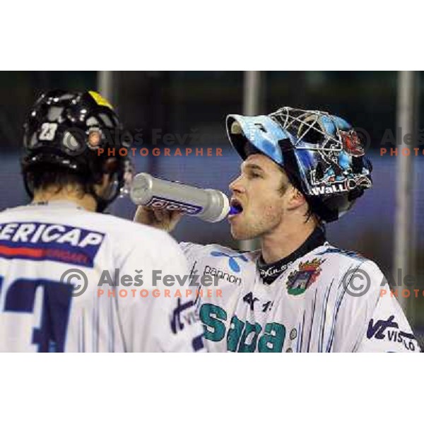Satosari in action during ice-hockey match Tilia Olimpija- Sapa Fehervar in round 40 of Ebel league, played in Hala Tivoli, Ljubljana, Slovenia 5.01.2010 