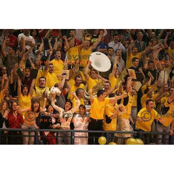 Gold club fans