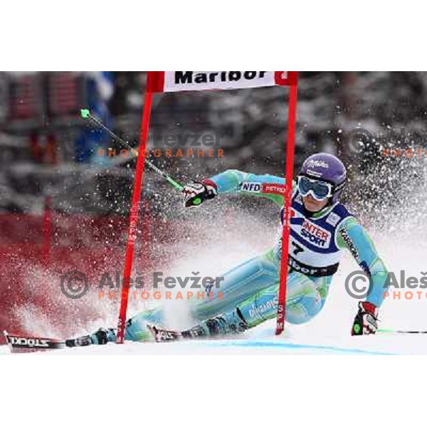Tina Maze (SLO) during first run of Zlata Lisica, Golden Fox Audi FIS Alpine Ski World Cup 2009-2010 giant slalom race in Maribor, Slovenia 16.1.2010 