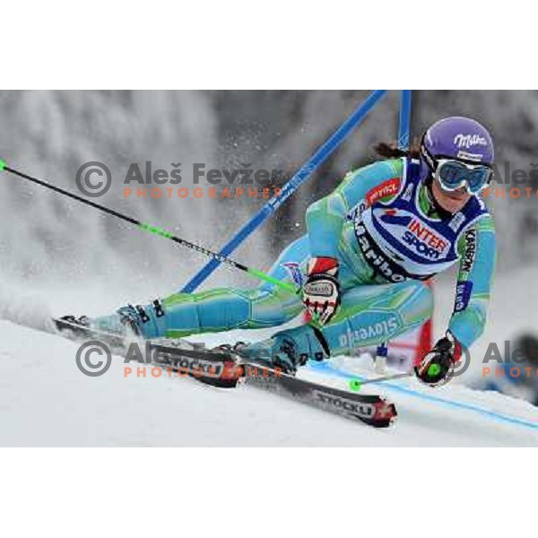 Tina Maze (SLO) during first run of Zlata Lisica, Golden Fox Audi FIS Alpine Ski World Cup 2009-2010 giant slalom race in Maribor, Slovenia 16.1.2010 