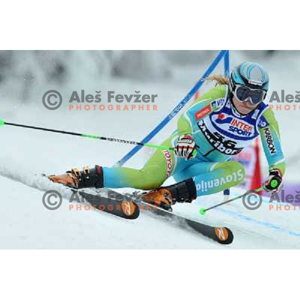 Ana Drev (SLO) during first run of Zlata Lisica, Golden Fox Audi FIS Alpine Ski World Cup 2009-2010 giant slalom race in Maribor, Slovenia 16.1.2010 