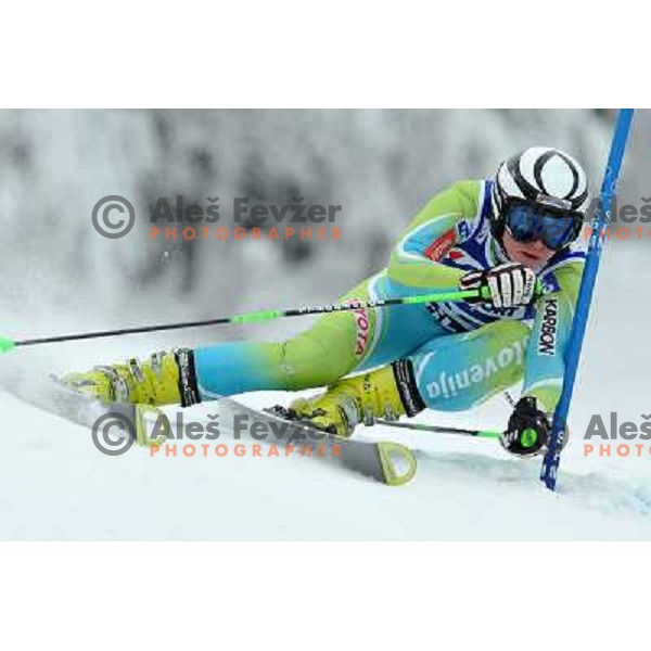 Marusa Ferk (SLO) during first run of Zlata Lisica, Golden Fox Audi FIS Alpine Ski World Cup 2009-2010 giant slalom race in Maribor, Slovenia 16.1.2010 
