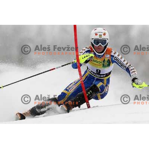 Maria Pietilae- Holmner (SWE) during first run of Zlata Lisica, Golden Fox Audi FIS Alpine Ski World Cup 2009-2010 slalom race in Maribor, Slovenia 17.1.2010 