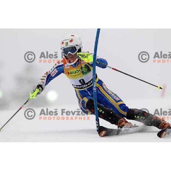 Maria Pietilae- Holmner (SWE) during first run of Zlata Lisica, Golden Fox Audi FIS Alpine Ski World Cup 2009-2010 slalom race in Maribor, Slovenia 17.1.2010 