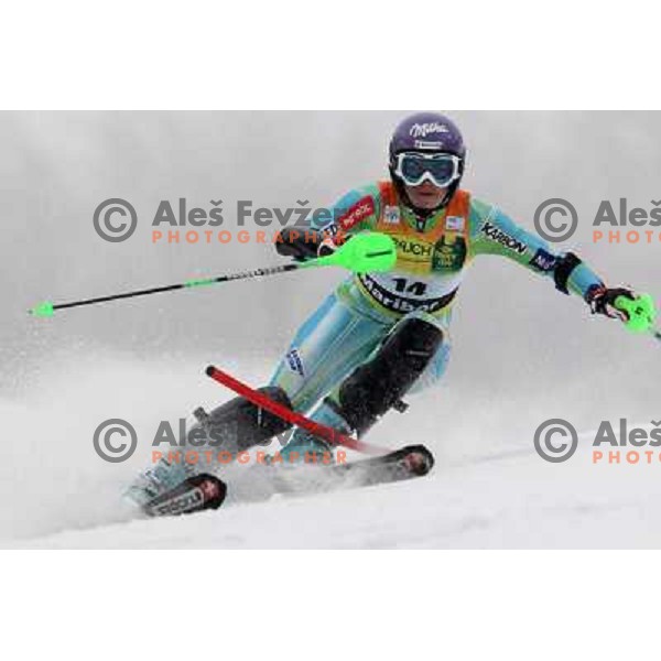 Tina Maze (SLO) during first run of Zlata Lisica, Golden Fox Audi FIS Alpine Ski World Cup 2009-2010 slalom race in Maribor, Slovenia 17.1.2010 
