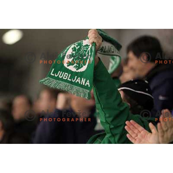 Olimpija fans in action during ice-hockey match Tilia Olimpija-KAC in Ebel league, played in Hala Tivoli, Ljubljana, Slovenia 19.1.2010 