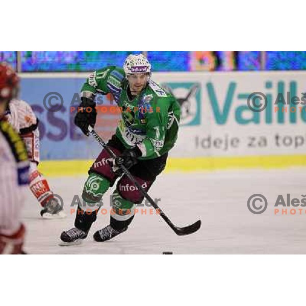 Jurij Golicic in action during ice-hockey match Tilia Olimpija-KAC in Ebel league, played in Hala Tivoli, Ljubljana, Slovenia 19.1.2010 