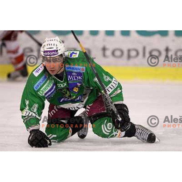 Matej Hocevar in action during ice-hockey match Tilia Olimpija-KAC in Ebel league, played in Hala Tivoli, Ljubljana, Slovenia 19.1.2010 