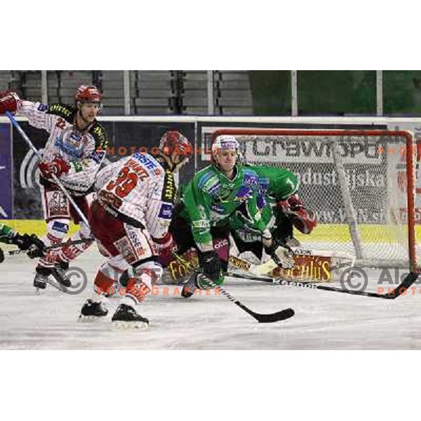 Shantz and Groznik in action during ice-hockey match Tilia Olimpija-KAC in Ebel league, played in Hala Tivoli, Ljubljana, Slovenia 19.1.2010 