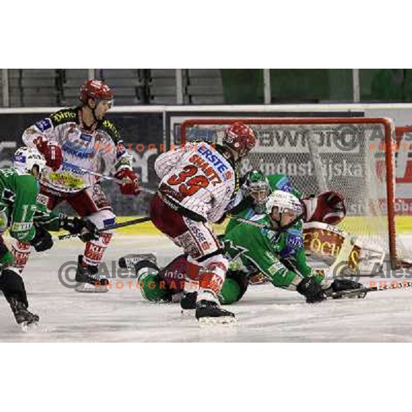 Shantz and Groznik in action during ice-hockey match Tilia Olimpija-KAC in Ebel league, played in Hala Tivoli, Ljubljana, Slovenia 19.1.2010 