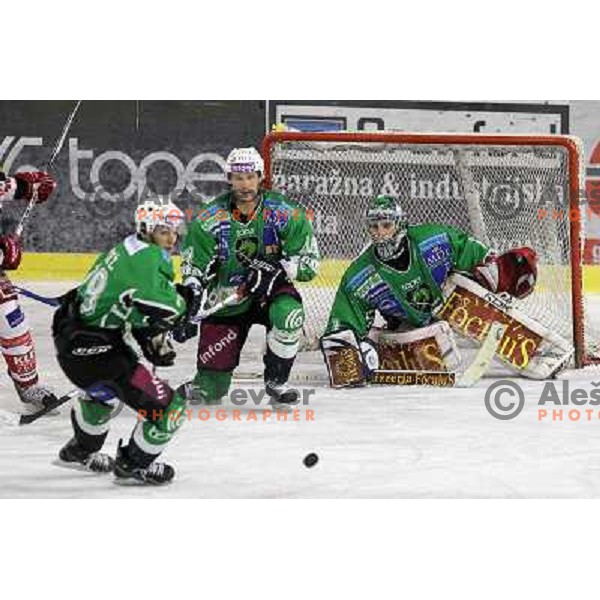 Ales Sila, Harlan Pratt in action during ice-hockey match Tilia Olimpija-KAC in Ebel league, played in Hala Tivoli, Ljubljana, Slovenia 19.1.2010 