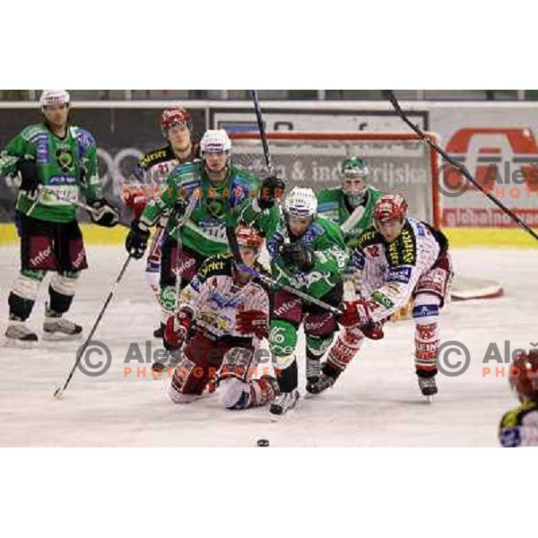 Matej Hocevar in action during ice-hockey match Tilia Olimpija-KAC in Ebel league, played in Hala Tivoli, Ljubljana, Slovenia 19.1.2010 