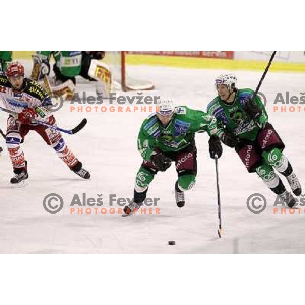 Matej Hocevar, Egon Muric in action during ice-hockey match Tilia Olimpija-KAC in Ebel league, played in Hala Tivoli, Ljubljana, Slovenia 19.1.2010 