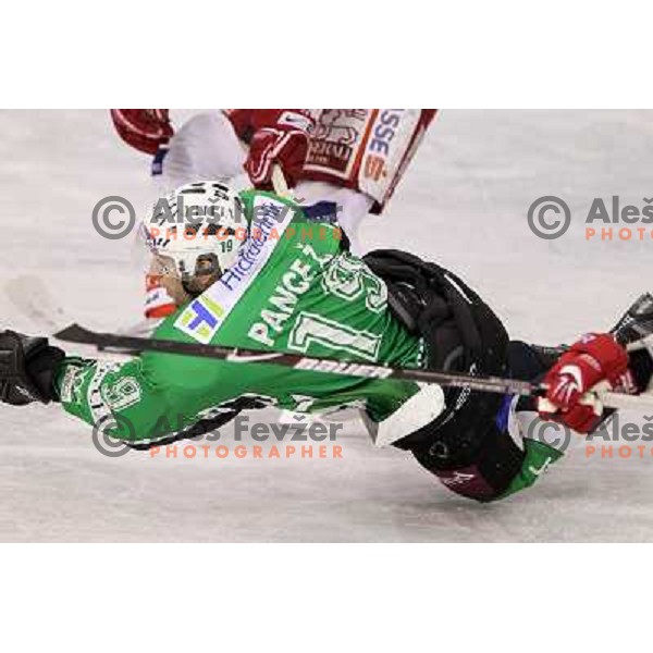 Ziga Pance in action during ice-hockey match Tilia Olimpija-KAC in Ebel league, played in Hala Tivoli, Ljubljana, Slovenia 19.1.2010 
