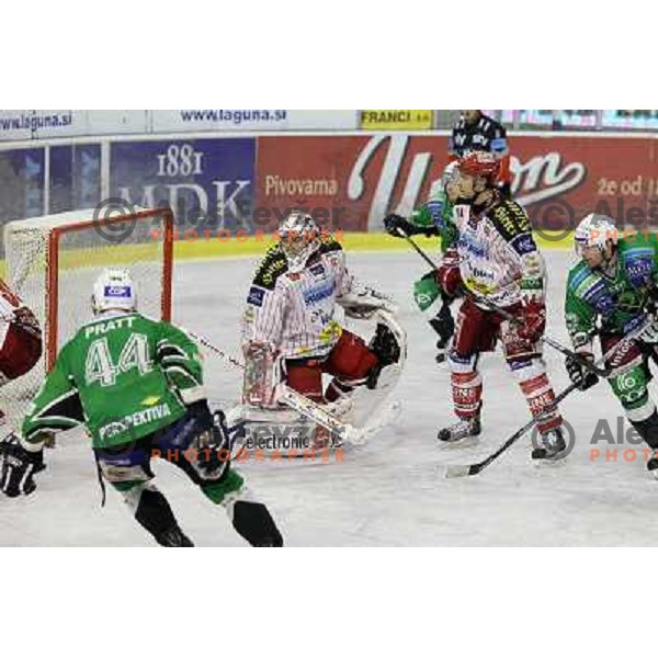 Pratt,Swetee, Jan, Music during ice-hockey match Tilia Olimpija-KAC in Ebel league, played in Hala Tivoli, Ljubljana, Slovenia 19.1.2010 