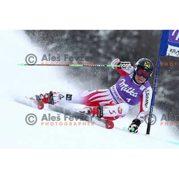 Marcel Hirscher of Austria skiing during first run of AUDI FIS World Cup Giant Slalom race in Kranjska Gora, Slovenia 29.1.2010 