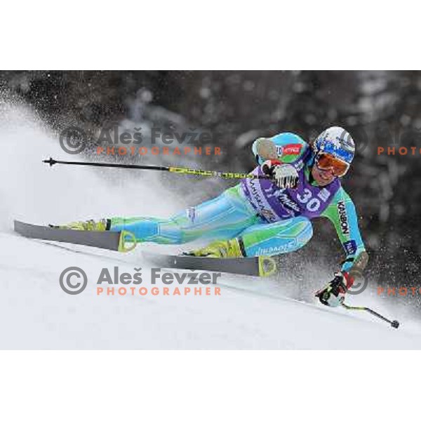 Ales Gorza of Slovenia skiing during first run of AUDI FIS World Cup Giant Slalom race in Kranjska Gora, Slovenia 29.1.2010 