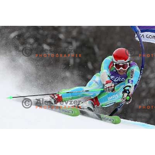 Miha Kuerner of Slovenia skiing during first run of AUDI FIS World Cup Giant Slalom race in Kranjska Gora, Slovenia 29.1.2010 