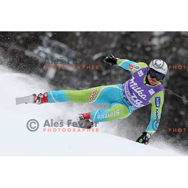 Andrej Krizaj of Slovenia skiing during first run of AUDI FIS World Cup Giant Slalom race in Kranjska Gora, Slovenia 29.1.2010 
