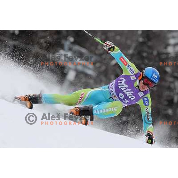 Matic Skube of Slovenia skiing during first run of AUDI FIS World Cup Giant Slalom race in Kranjska Gora, Slovenia 29.1.2010 