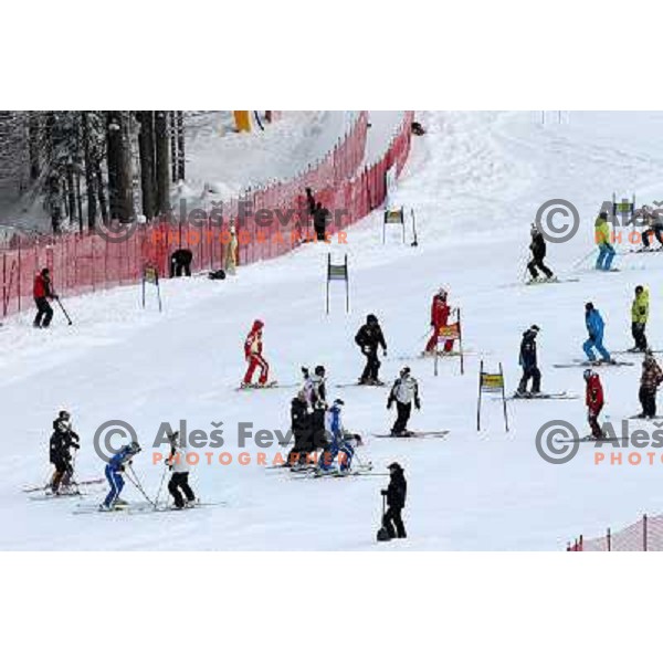  during course inspection before AUDI FIS World Cup Giant Slalom race for Vitranc Cup in Kranjska Gora, Slovenia 30.1.2010 