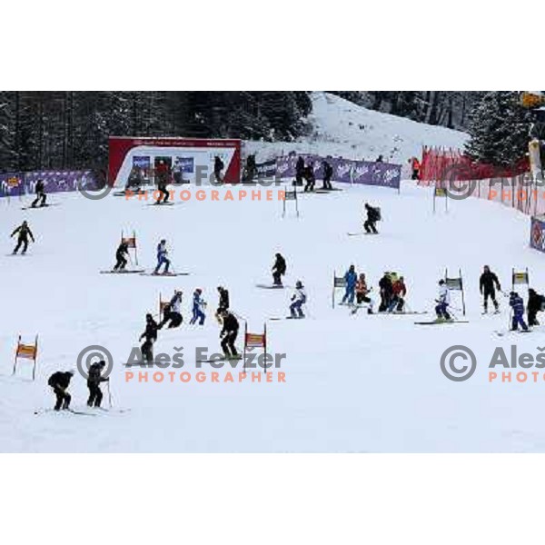 during course inspection before AUDI FIS World Cup Giant Slalom race for Vitranc Cup in Kranjska Gora, Slovenia 30.1.2010 