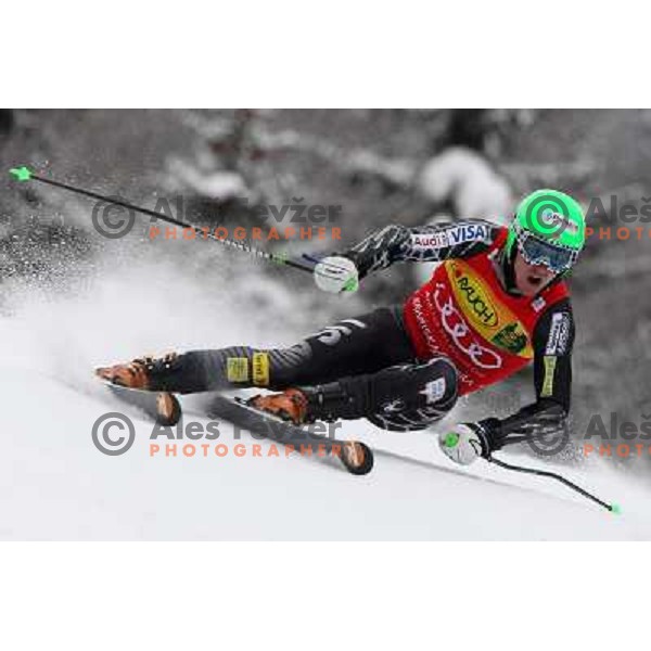 Ted LIgety during first run of AUDI FIS World Cup Giant Slalom race in Kranjska Gora, Slovenia 30.1.2010 