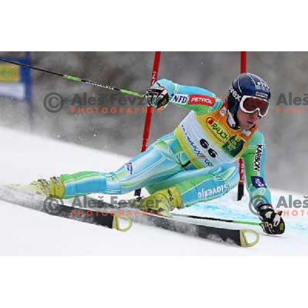 Patrick Jazbec during first run of AUDI FIS World Cup Giant Slalom race in Kranjska Gora, Slovenia 30.1.2010 