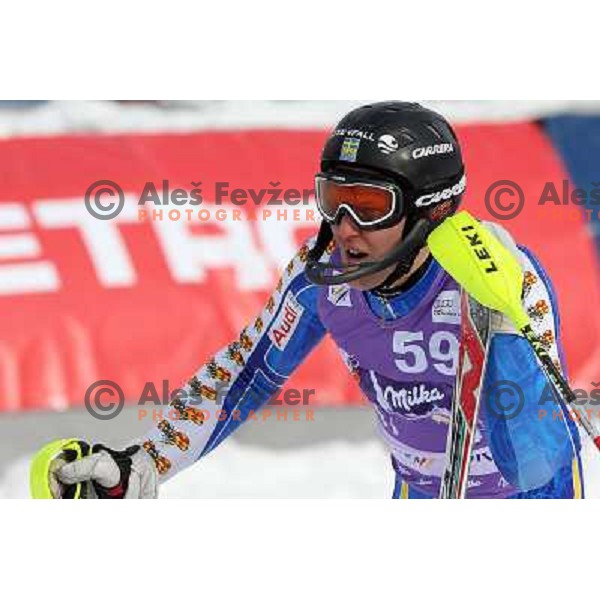 Andreas Omminger after second run of AUDI FIS World Cup Slalom race for Vitranc Cup in Kranjska Gora, Slovenia 31.1.2010 