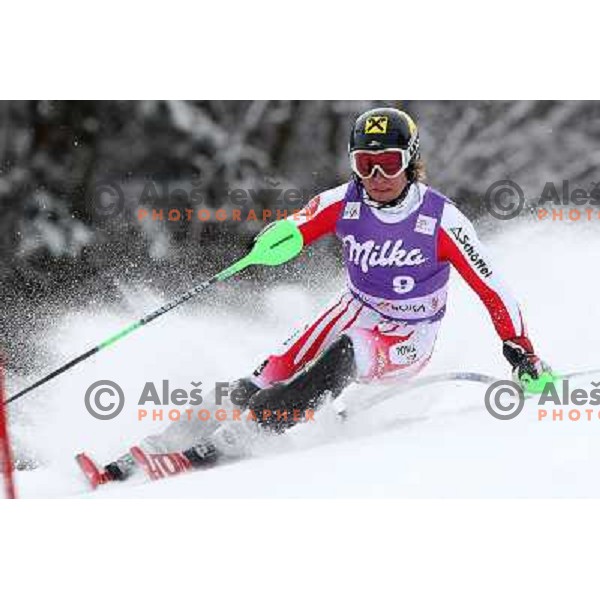 Marcel Hirscher during first run of AUDI FIS World Cup Slalom race for Vitranc Cup in Kranjska Gora, Slovenia 31.1.2010 