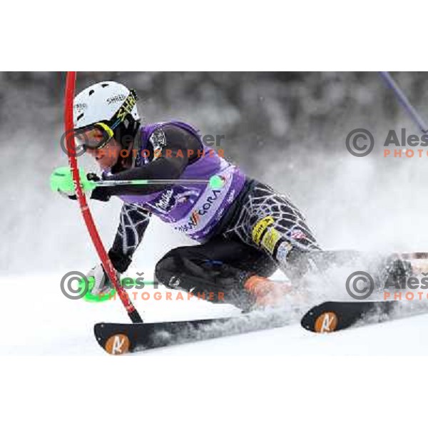 Ted Ligety during first run of AUDI FIS World Cup Slalom race for Vitranc Cup in Kranjska Gora, Slovenia 31.1.2010 