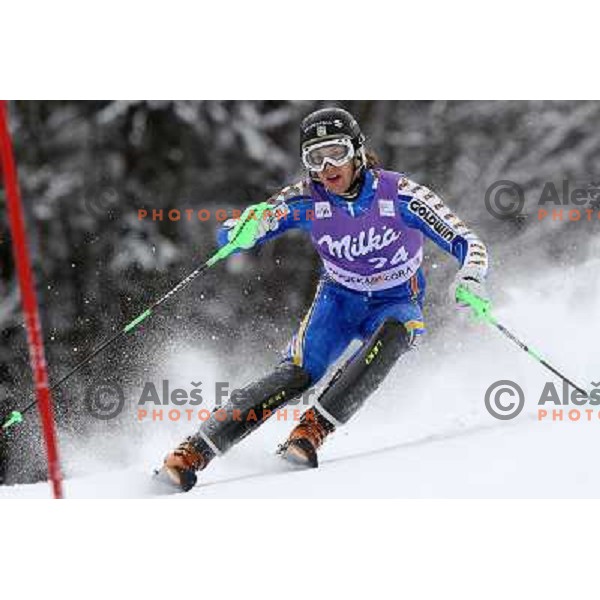Axel Baeck during first run of AUDI FIS World Cup Slalom race for Vitranc Cup in Kranjska Gora, Slovenia 31.1.2010 