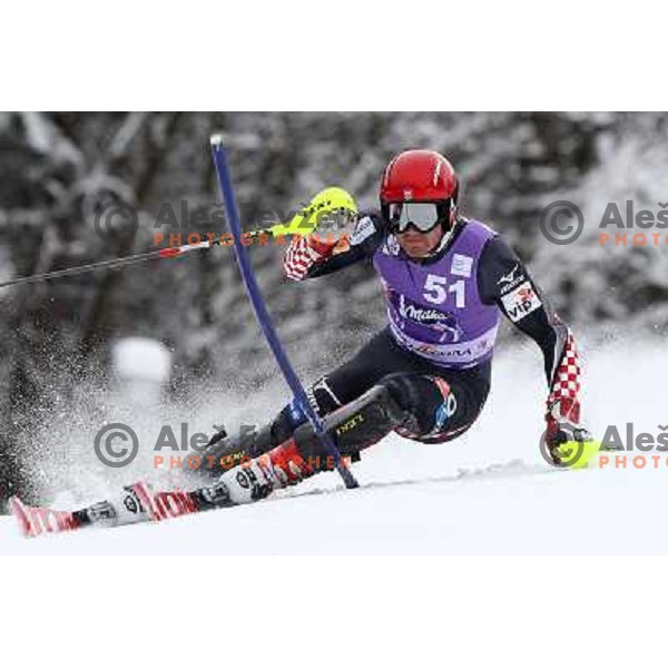 Natko Zrncic-Dim during first run of AUDI FIS World Cup Slalom race for Vitranc Cup in Kranjska Gora, Slovenia 31.1.2010 