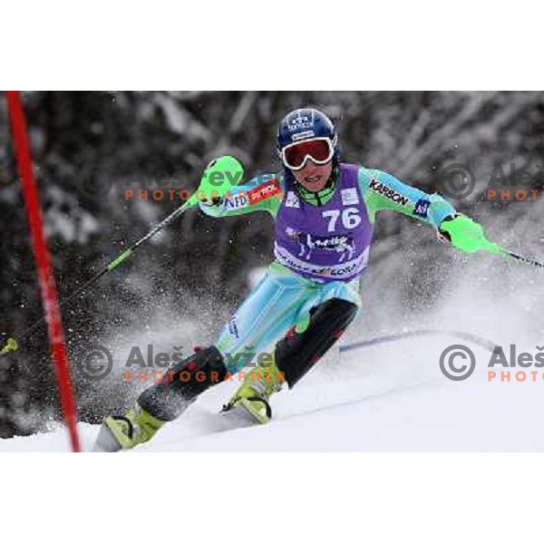 Patrick Jazbec during first run of AUDI FIS World Cup Slalom race for Vitranc Cup in Kranjska Gora, Slovenia 31.1.2010 