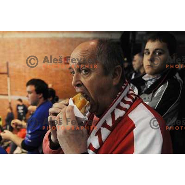 Krim Fans Krimovci at handball game, Krim Mercator - HCL Leipzig, played in Champions league, Ljubljana, 13.01.2010, Krim Mercator won 32:26 