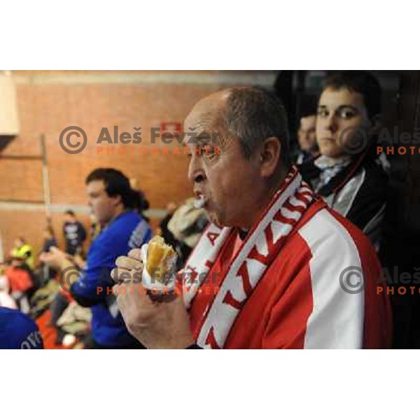 Krim Fans Krimovci at handball game, Krim Mercator - HCL Leipzig, played in Champions league, Ljubljana, 13.01.2010, Krim Mercator won 32:26 