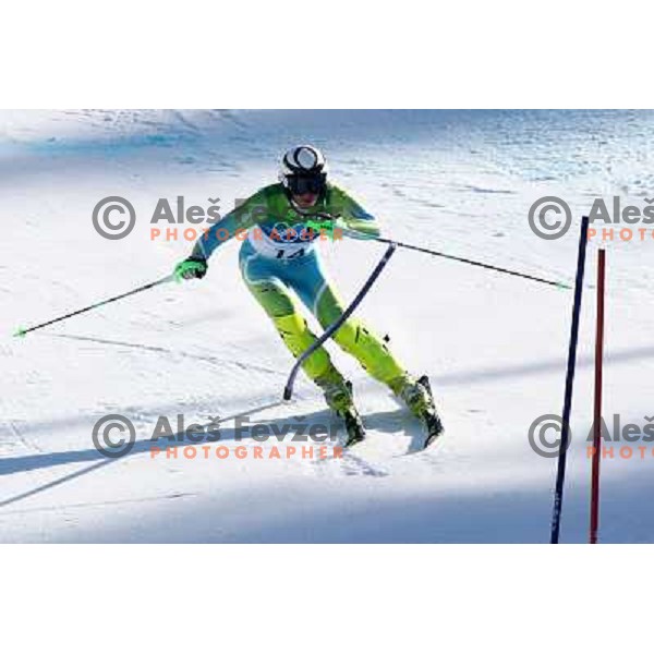 Marusa Ferk (SLO) during Ladies Super Combined Slalom in Whistler Creekside 18.2.2010, Vancouver 2010 Winter Olympic Games, Canada 