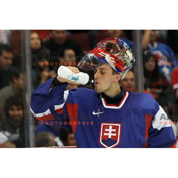 Slovakia goalie Jaroslav Halak in action during ice-hockey match Russia- Slovakia 18.2.2010 in Preliminary round, Vancouver 2010 Winter Olympic Games, Canada 