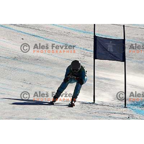  Tina Maze (SLO), Olympic silver medalist in Women\'s Super G in Whistler Creekside.20.2.2010 , Vancouver 2010 Winter Olympic Games, Canada 