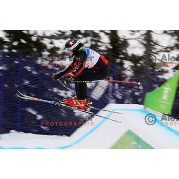 ladies ski cross competition at Cypress Mountain 23.2.2010 , Vancouver 2010 Winter Olympic Games, Canada 