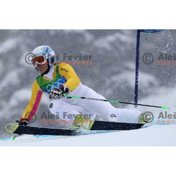 Kathrin Hoelzl (GER) skiing in first run of Women\'s Giant Slalom in Whislter Creekside 24.2.2010 , Vancouver 2010 Winter Olympic Games, Canada 
