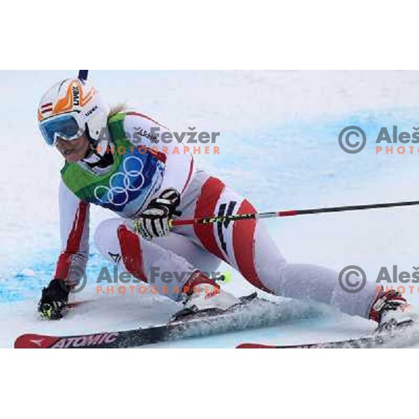 Michaela Kirchgasser (AUT) skiing in first run of Women\'s Giant Slalom in Whislter Creekside 24.2.2010 , Vancouver 2010 Winter Olympic Games, Canada 