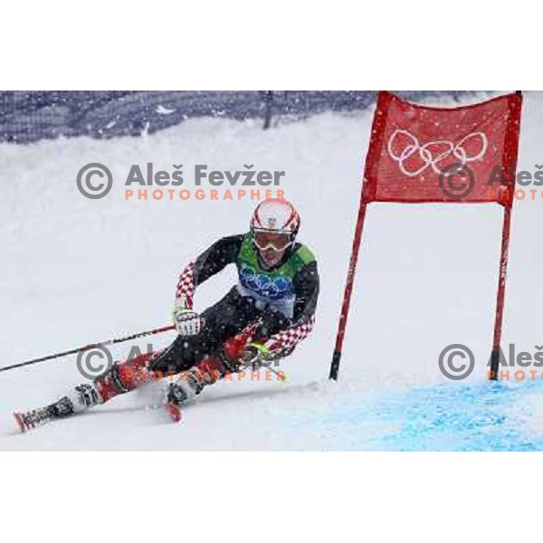Nika Fleiss (CRO) skiing in first run of Women\'s Giant Slalom in Whislter Creekside 24.2.2010 , Vancouver 2010 Winter Olympic Games, Canada 