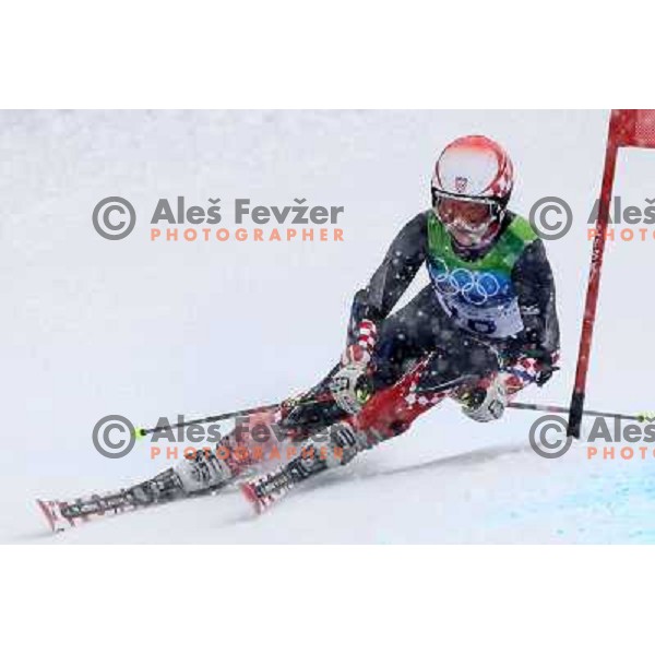 Tea Palic (CRO) skiing in first run of Women\'s Giant Slalom in Whislter Creekside 24.2.2010 , Vancouver 2010 Winter Olympic Games, Canada 