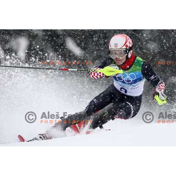  Ana Jelusic (CRO) skiing in first run of Ladies Slalom in Whistler Creekside 26.2.2010 , Vancouver 2010 Winter Olympic Games, Canada 