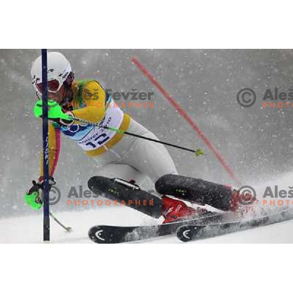  Fanny Chmelar (GER) skiing in first run of Ladies Slalom in Whistler Creekside 26.2.2010 , Vancouver 2010 Winter Olympic Games, Canada 