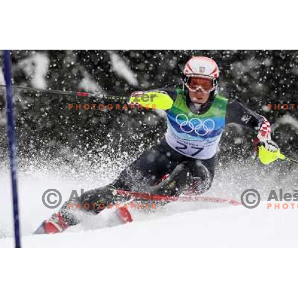 Nika Fleiss (CRO) skiing in first run of Ladies Slalom in Whistler Creekside 26.2.2010 , Vancouver 2010 Winter Olympic Games, Canada 