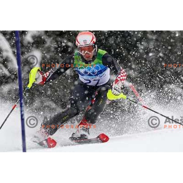 Nika Fleiss (CRO) skiing in first run of Ladies Slalom in Whistler Creekside 26.2.2010 , Vancouver 2010 Winter Olympic Games, Canada 